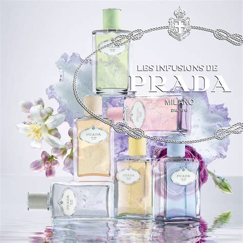 iris prada è solo estivo|iris prada perfume.